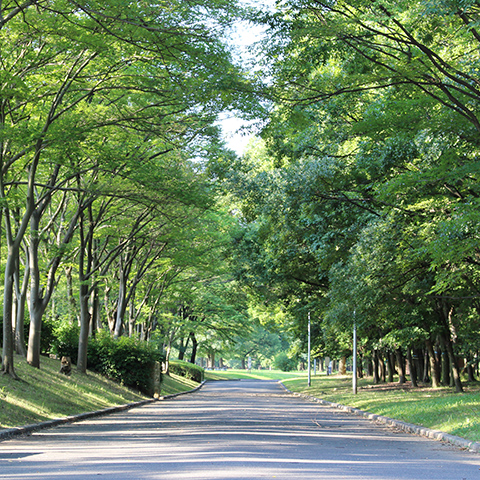 道路・公園管理